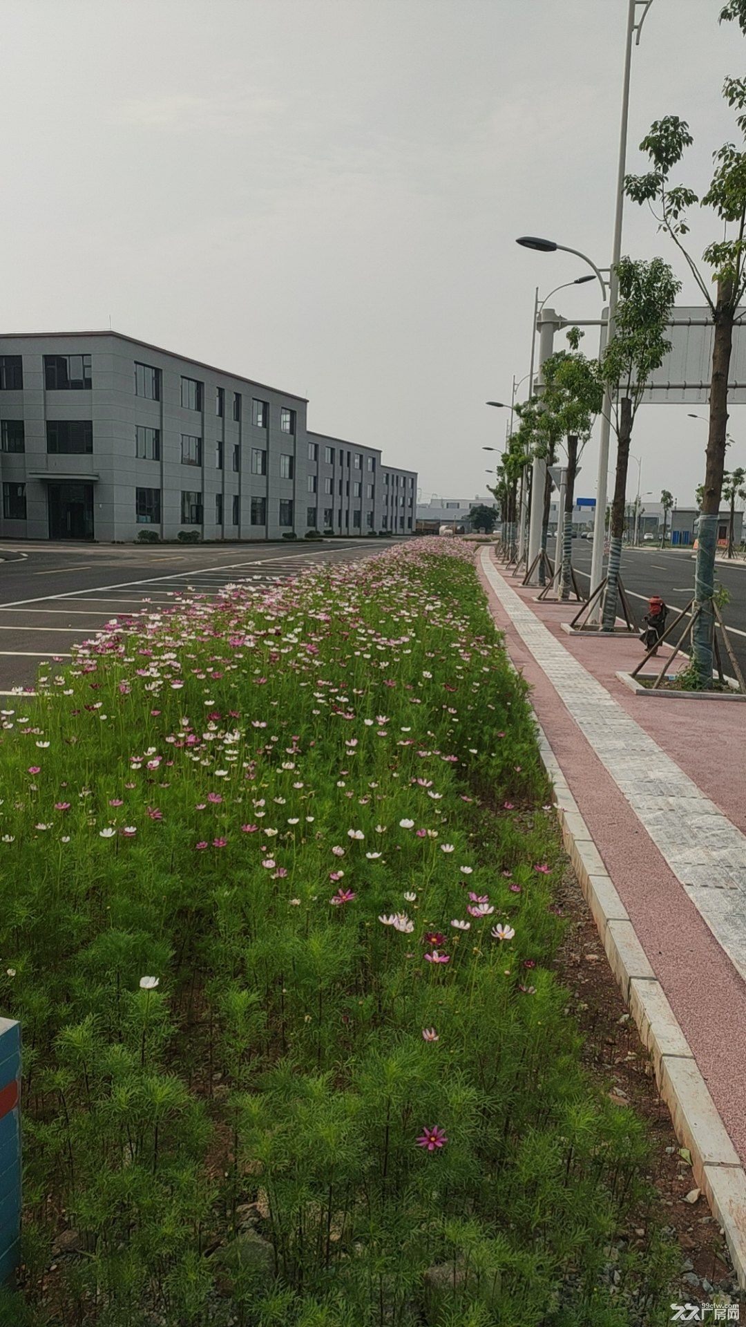 非中介 园区直售 独栋、双拼花园厂房出售 50年产权 - 3