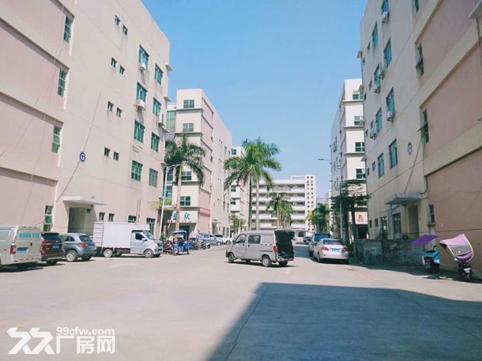宝安石岩大型工业园厂房整层2000平出租，带装修，靠近汽车站 - 2