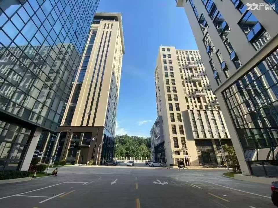 龙华大浪高新科技园整层2600平厂房出租 - 4