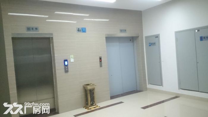 (园区非中介)望城黄金创业园多层孵化器厂房出租 - 5