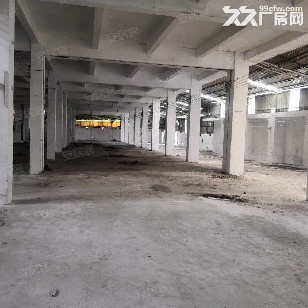 新会双水小冈桥附近工业厂房3500平方，租7元一方 - 5