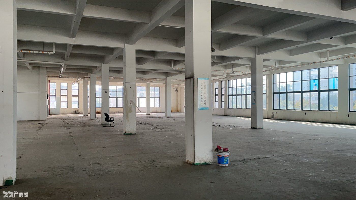 武汉白领丽人工业园-轻工厂房 - 5