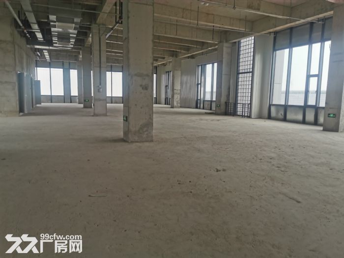 临港3000平到15000平高新医药生产生物制药研发仓库 - 3