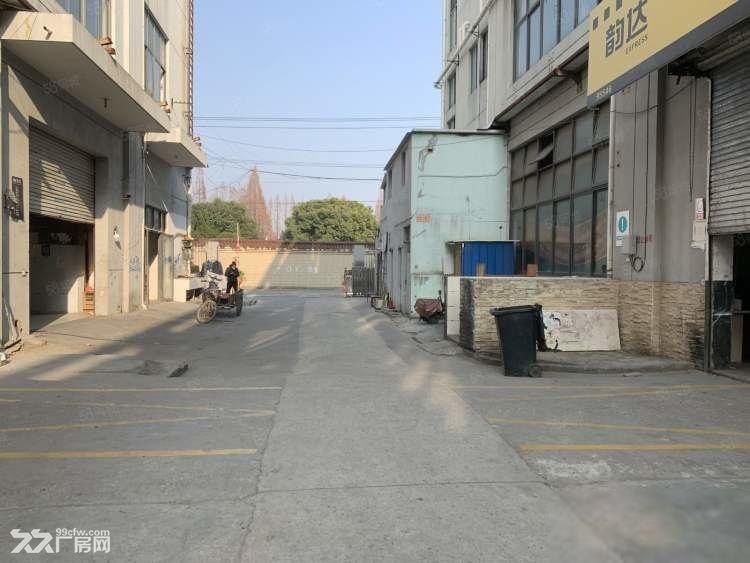 康桥550平层高5.5米 业主直租 独门独院 低租金 近地铁 - 7