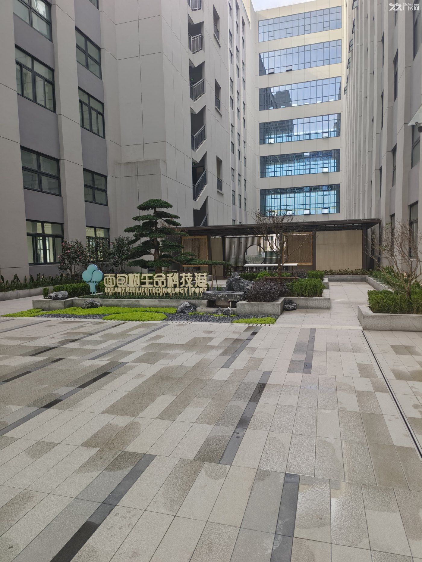 萧山厂房招商:黄金地段,开启财富新引擎! - 6