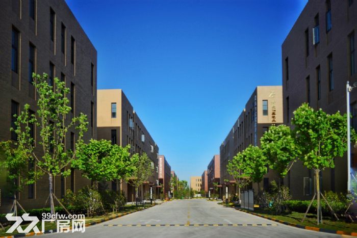 50年大产权,1200—3200平全新厂房出售 - 7