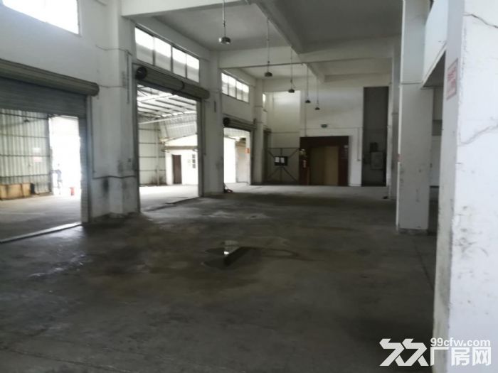 蓬江荷塘独院电梯厂房1-4层3000平方招租，租6元一平方 - 3