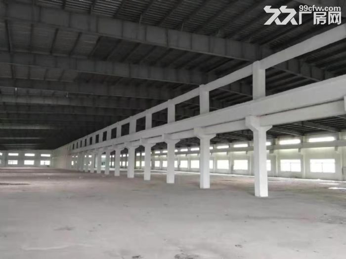 江门新会独院工业园钢构厂房仓库出租3000平方 - 3