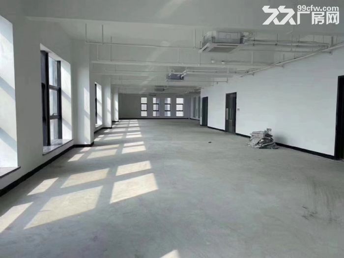 滨江高科技厂房出租，层高6米，整层2900方 - 2