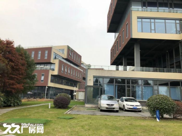 个人非中介经开区厂房出售50年产权可环评政策好性价比超高 - 5