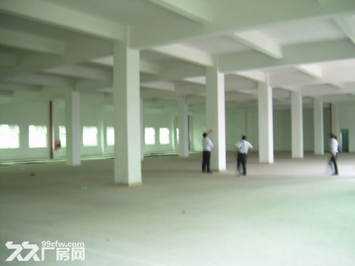 个人.湖熟一楼1000平米厂房或仓库 高度8米，混凝土结构 - 3