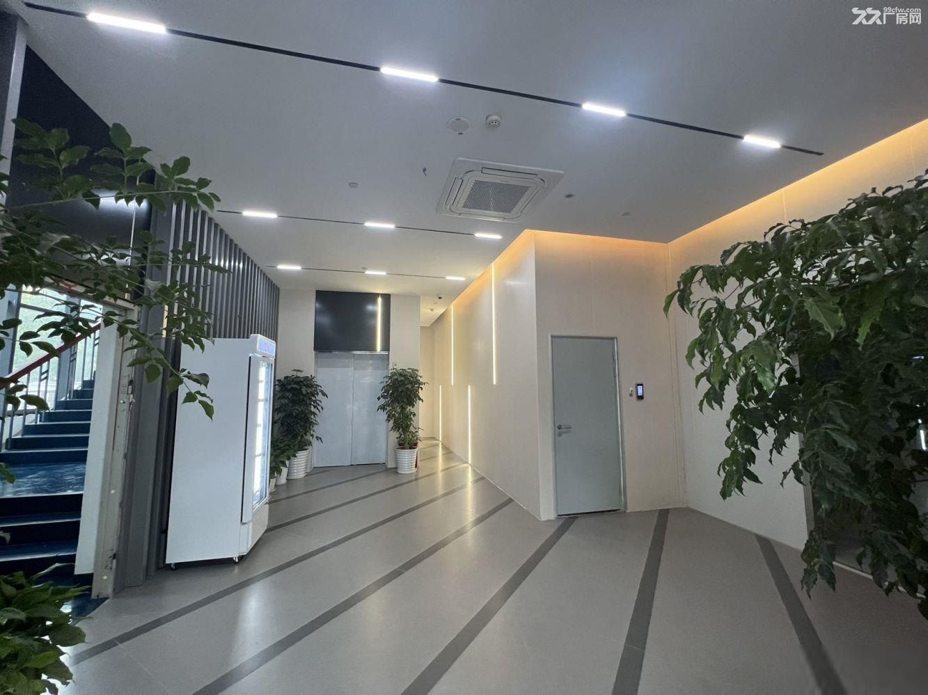 金桥自贸区新出研发办公园区104板块，精装交付，上下水可分割 - 4