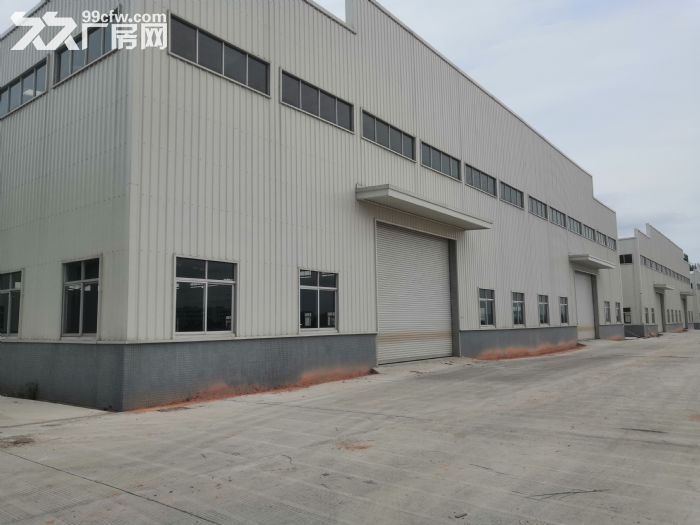 江门台山独院单一层15米高特种厂房20000平方出租,可分租 - 2
