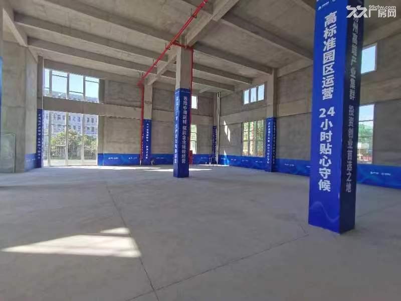 泰州市姜堰区800平现房标准框架厂房出租出售 - 2