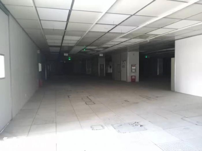 A苏虹西路2000平标准厂房 空地大 车位充足 - 2