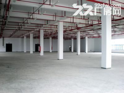 个人.江宁开发区.1到2楼5500平米.独栋厂房.招租 - 7
