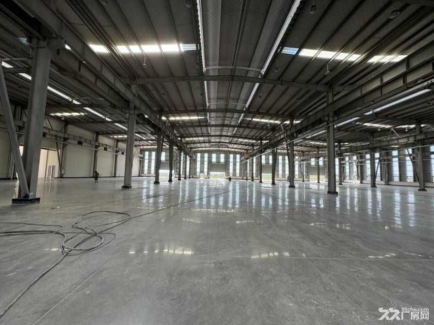 双福新区单层11米独栋厂房出租 - 4