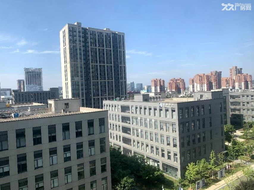 武汉光谷核心区可环评直接排污生物专业园区 - 3