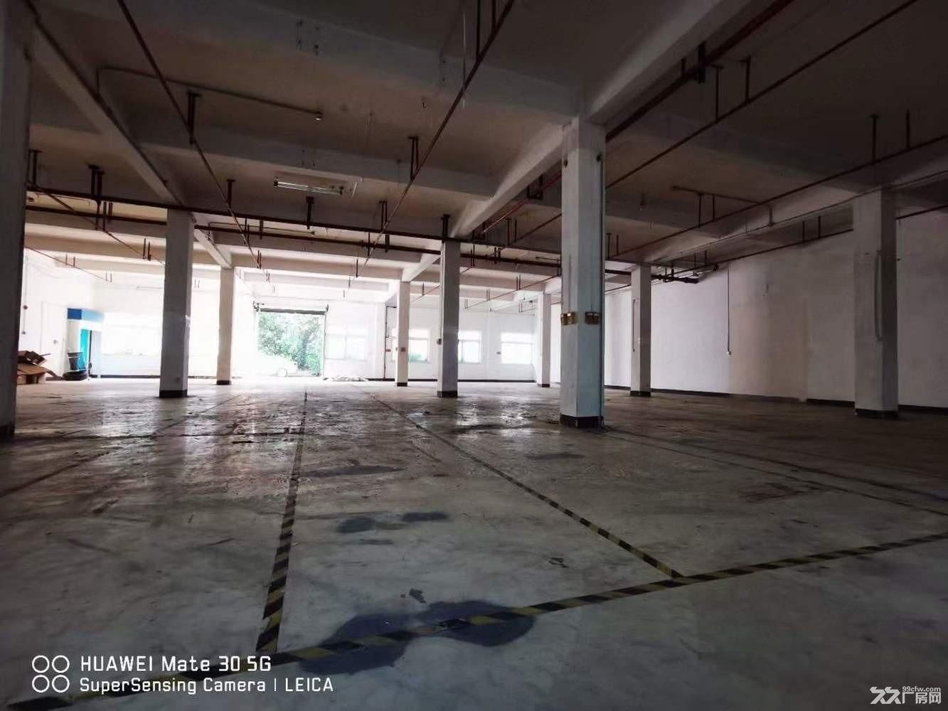 厂房仓库出租104地块曹路招商花园城层高5米丙二消防地铁站口 - 5