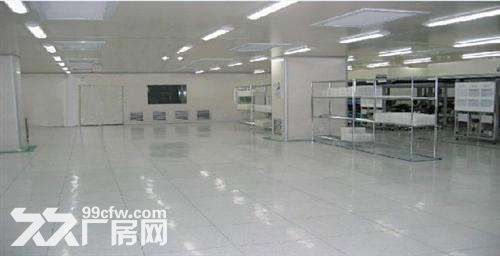 个人.江宁开发区将军大道旁1到2楼2000平米精装修厂房 - 5