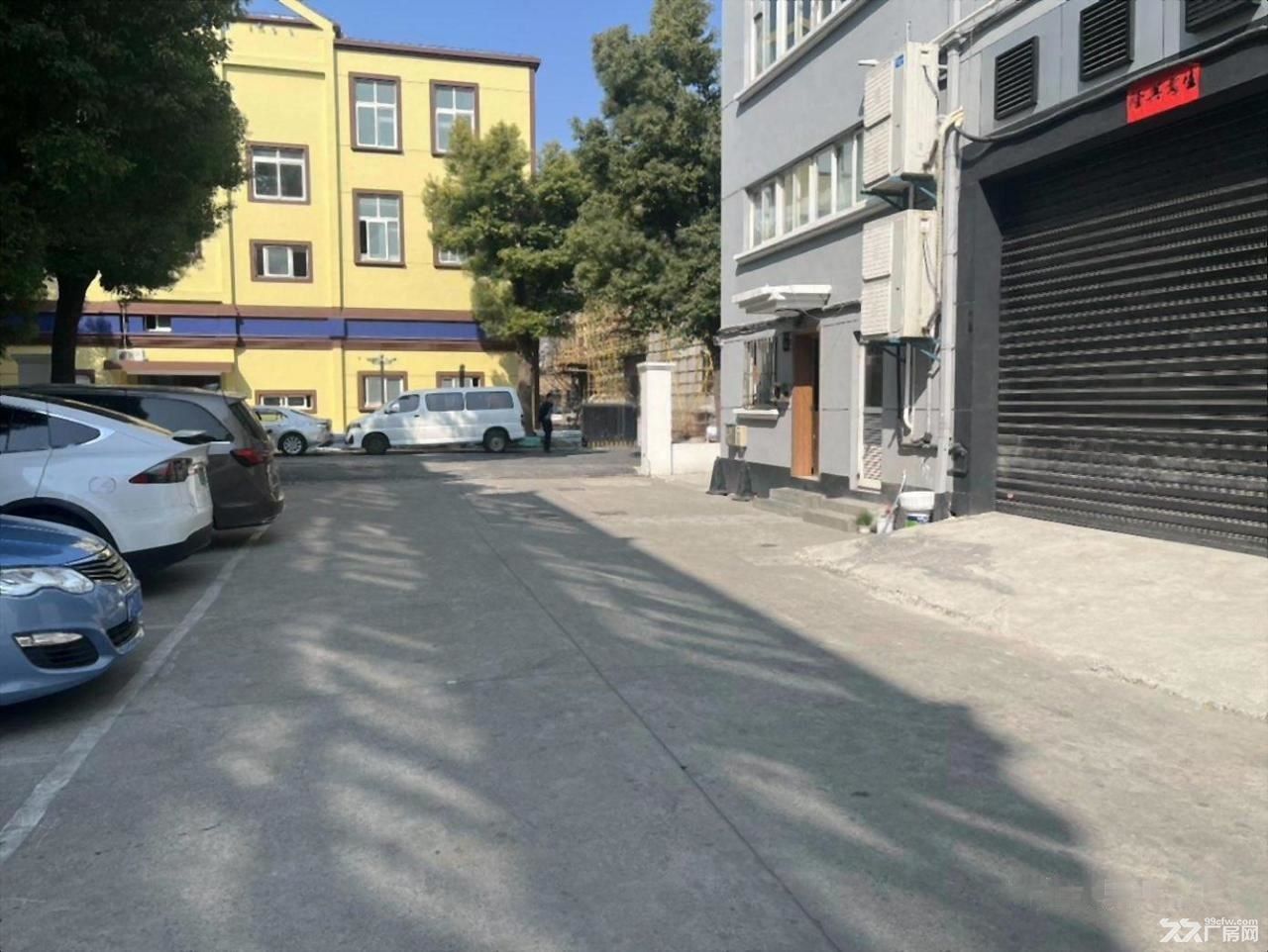普陀一楼245平适合贸易电商服装食品电子设备组装仓储冷库 - 8