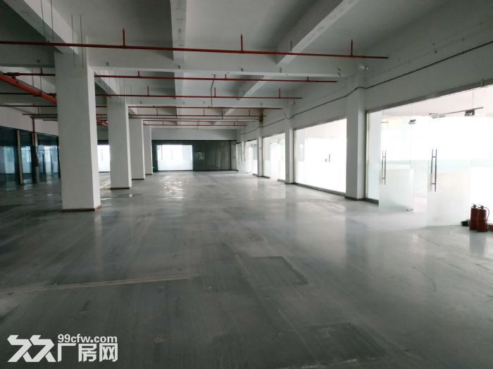 石岩黄峰林工业区创新园 独独院60000平 一手使用率 直租 - 7