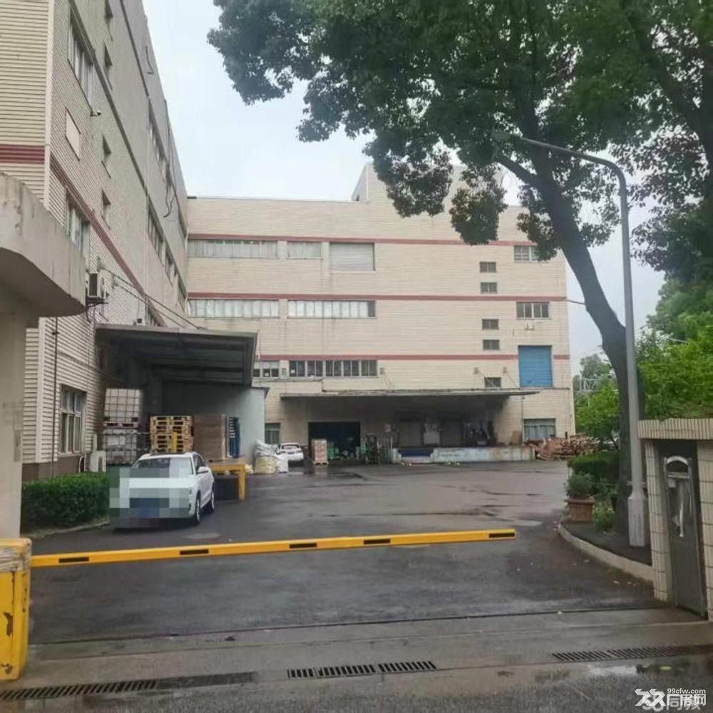 出租浦东自由贸易区外高桥片区工业厂房库房（一层起租） - 3