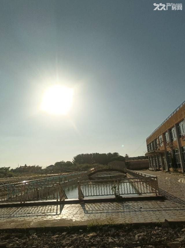 花园式 带大空地 单层砖混厂房 - 7