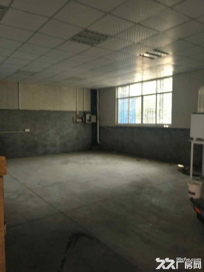 小蓝工业园300m2厂房出租 - 4