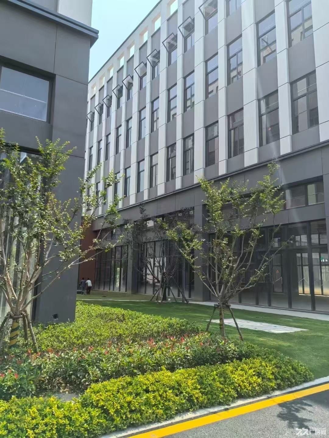 北仑工业园区厂房 独栋分层 开发商直售 新契