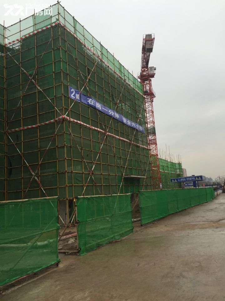 双福独栋办公、仓库、沿街仓库出售 - 5