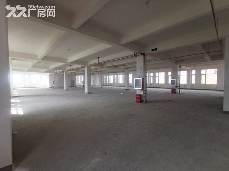 物业直租5000平标准厂房,可分租,带办公,年费车位。 - 4