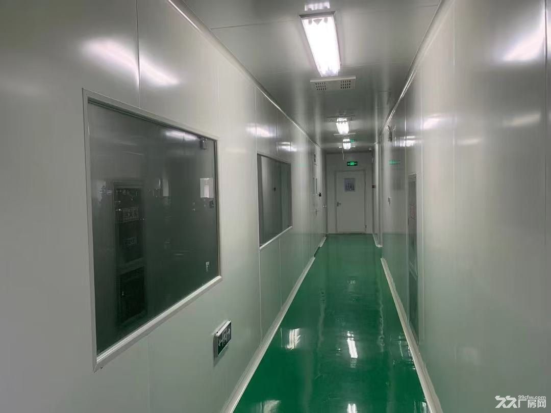 出租 肥西工投立恒工业广场 净化厂房、无尘车间 送免租期 - 2