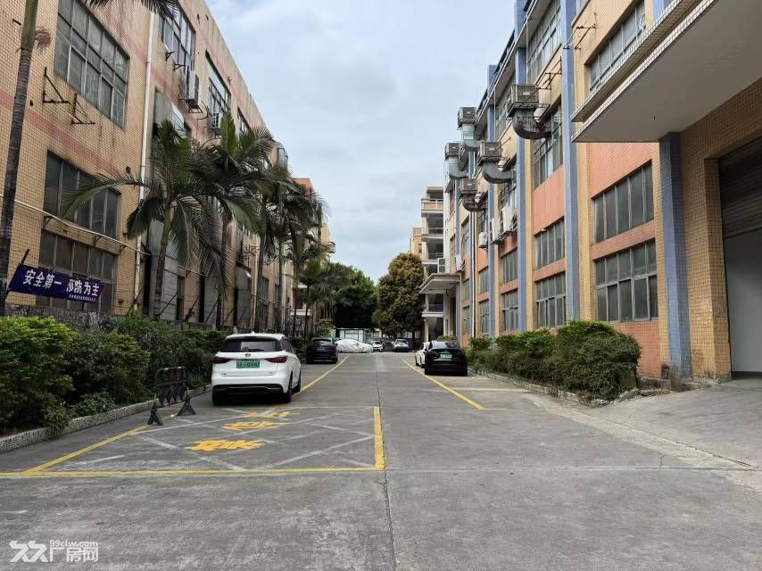 沙井闲置厂房低价诚意出租 - 3