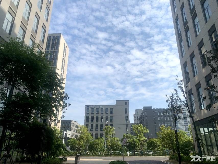 武汉光谷核心区可环评直接排污生物专业园区