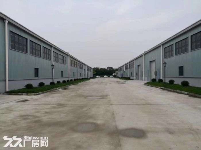 嘉闵高架 莘庄工业区新建单层仓库 600平1200平1800 - 5