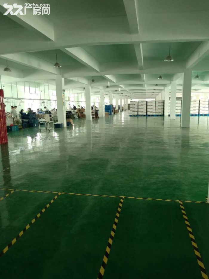 江宁开发区3300平厂房仓库,高12米,适合体育,汽修,仓库,生产,组装等 - 3