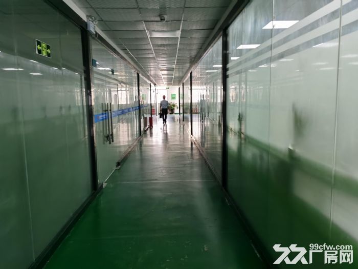 龙华大浪商业中心旁3层独院厂房4500平，原房东，可签6年，价格实在 - 3