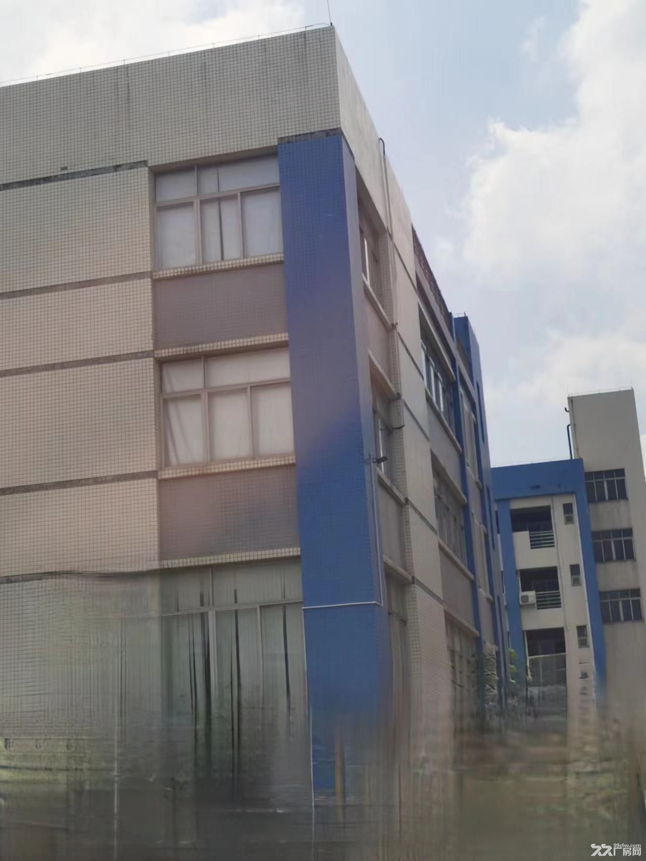 珠海市唐家湾金鼎独栋厂房5400平方3000万 - 5