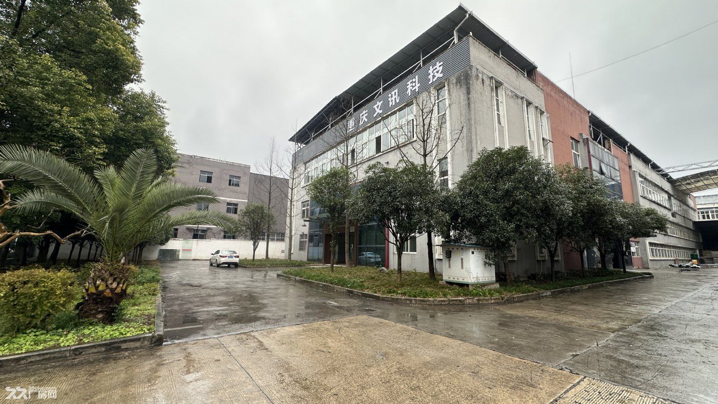 青杠独院标准厂房紧急出租,价格便宜 - 5