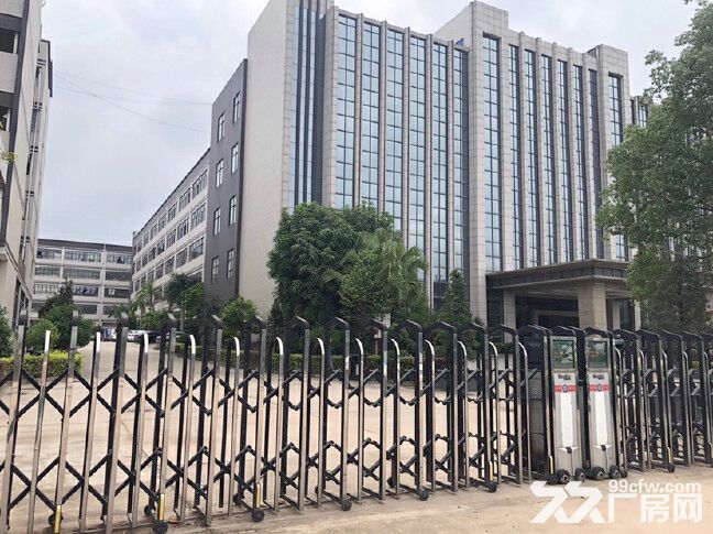 龙华地铁口旁园区新出原房东45000平独院红本厂房,可分租,空地大,形象好 - 4