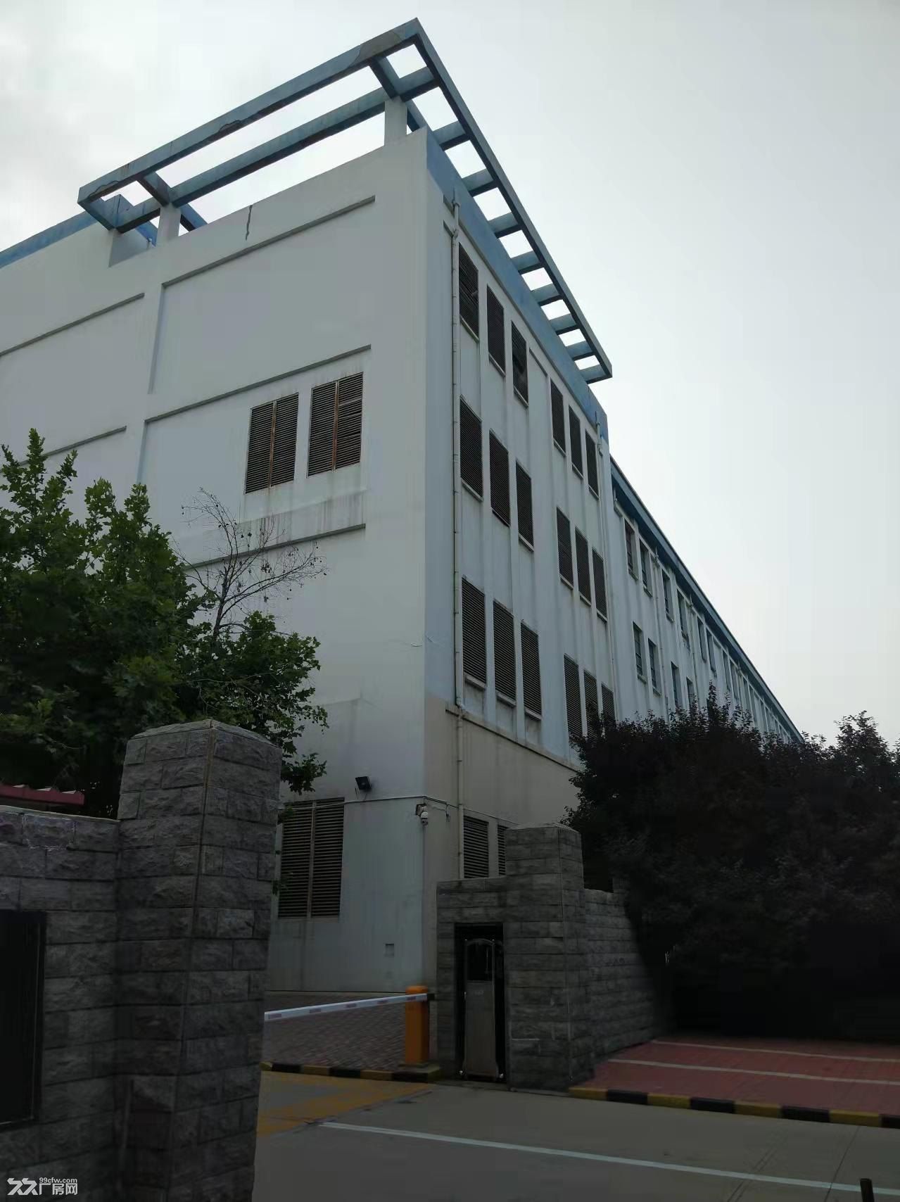 高新区临街厂房对外招租 - 6