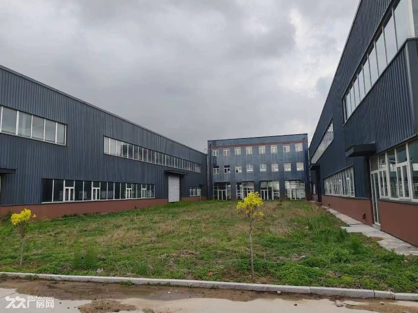滨海经济开发区新建钢结构厂房 火热招商 - 2