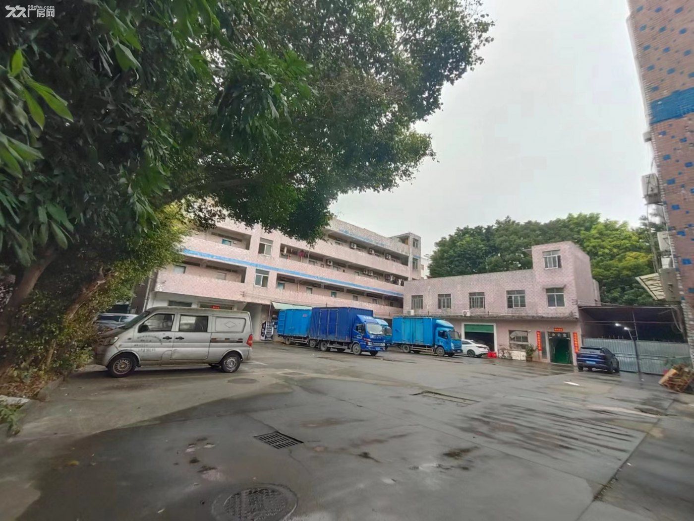 深圳龙岗红本独门独院厂房1300万 - 4