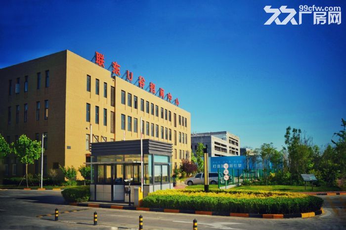 胶州1200—3200平全新标准厂房对外出售50年大产权,双证 - 8