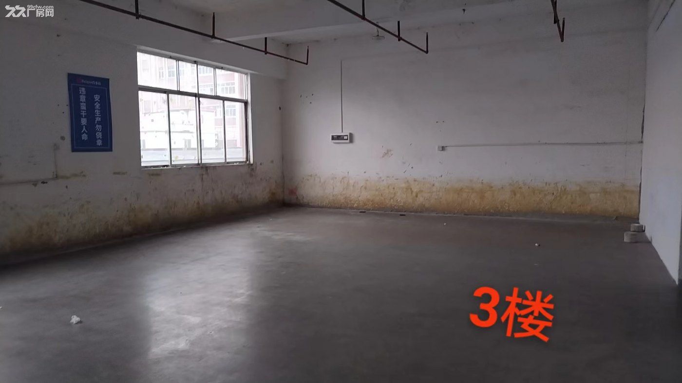 现有800-10000方自家厂房出租 - 3