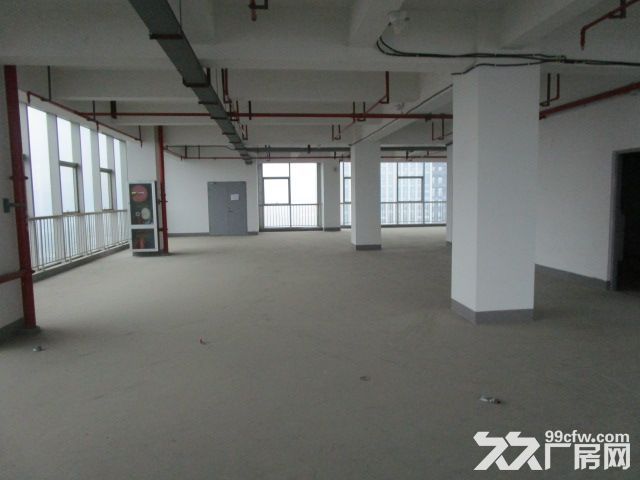 西兴厂房出租  速抢    先到先得 - 5