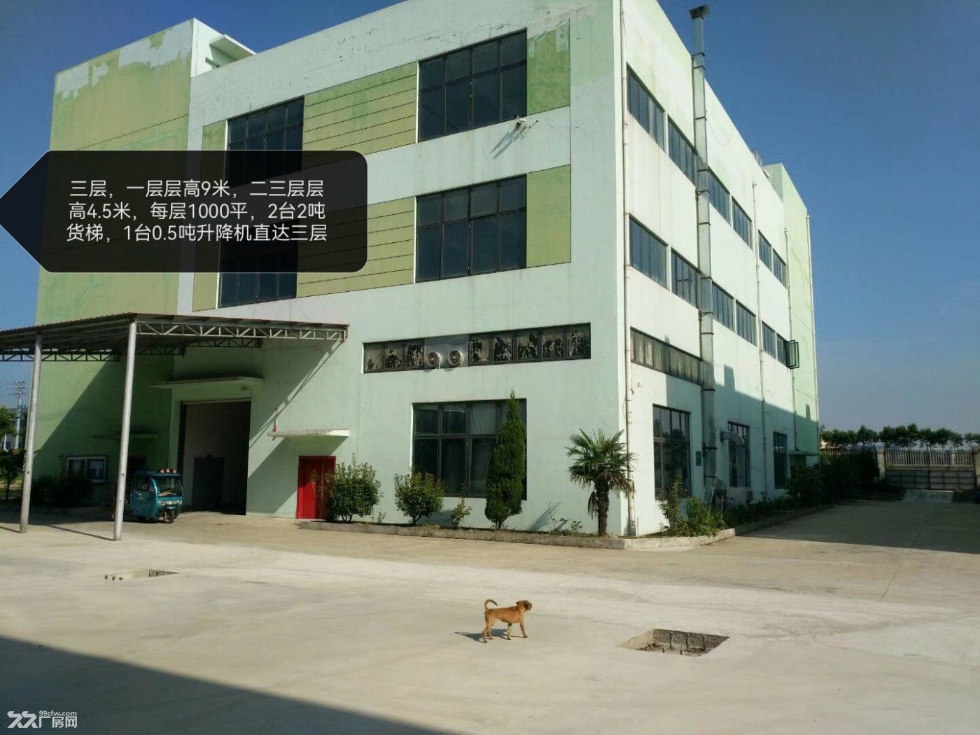 浦口区星甸街道石桥工业园自建厂房出租出售 - 4