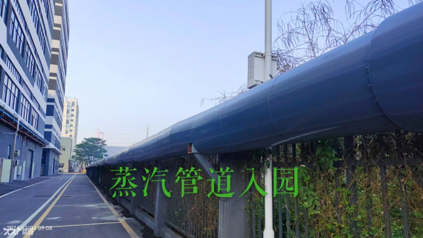 大良五沙工业区低价红本厂房出租 - 4