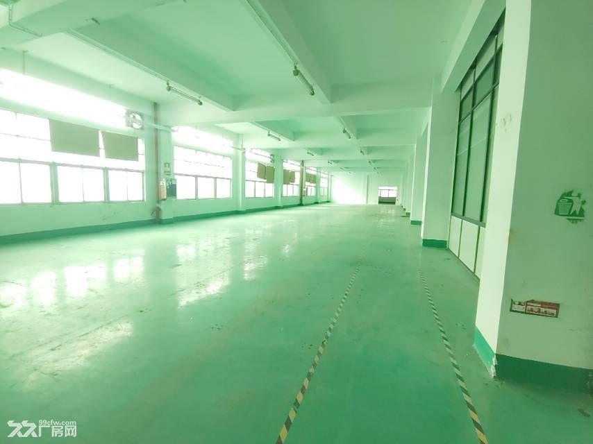 光明区凤凰街道一楼2400平 带办公室装修 - 4
